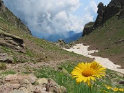 Pizzo Tre Signori (2554 m) dalla Val dÄ†ā€˛Ä€ĀĆ„ĀÄā‚¬ĀÄ€Ā¬Ć„ĀÄā‚¬Ė›Ä€Ā¢Inferno fiorita - 24lu24